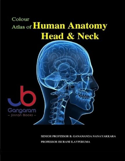 Colour Atlas of Human Anatomy Head and Neck