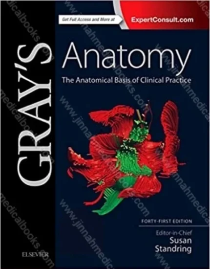 Gray’s Anatomy The Anatomical Basis of Clinical Practice, 41st Edition