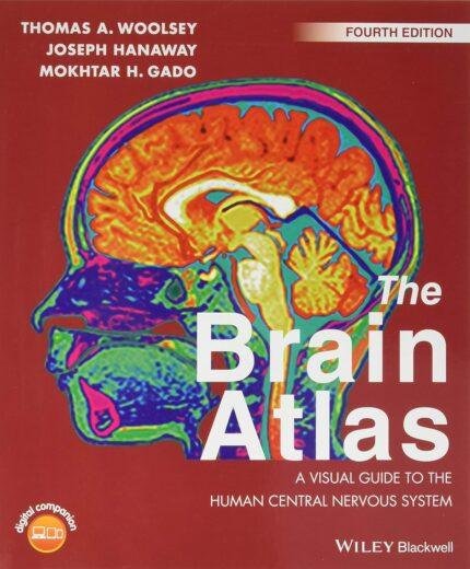 The Brain Atlas