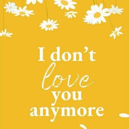 I Don't Love You Anymore by Rithvik Singh